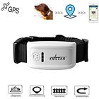 699949758525 Pet Gps Tracker Dog