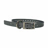 Buzz-34collar-sv The Buzzards Roost Silver Replacement Collar Strap Si 603827614193 Buzz-34collar-sv The Buzzards Roost Silver Replacement Collar Strap Si 603827614193