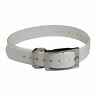 Buzz-34collar-w The Buzzards Roost White Replacement Collar Strap Whit 603827614209