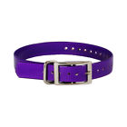 Buzz-collar-s-pr The Buzzards Roost Collar Strap Purple Buzzard 603827613325