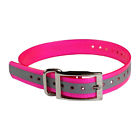 Collar-r-pk The Buzzards Roost Reflective 603827613271