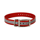 Collar-r-r The Buzzards Roost Reflective 603827613288