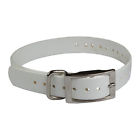 Collar-s-w The Buzzards Roost Collar 603827613356