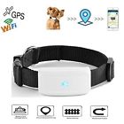 Cs911 Hangang Gps Pet Tracker Locating Activity Monitor Tracking 699946815931