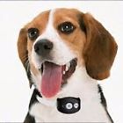 Cvabr-g771 Dak Pet Tracker Gps 4