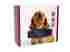 Ef49815p Petrack Realtime Gsm Gps Dog Cat Pet Tracking System Waterproof Collar Tracker