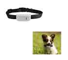 Img-dc20-na Image New Pet Gps 700697058987
