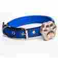 Rf-v30-gld A G Gps Tracker For Pets Anti Lost Waterproof Wifi Voice Monitor World Coverage 096802984990