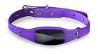 Sc01mm00101001 Black Decker Smart Dog Collar Violet New 818942020044