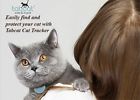 Tabcat Cat Tracking Collar Pet Locator Lite Finder Tracker System 729440532994