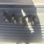 88-95 Toyota 3.0 V6 Cold Start Injector Pickup 4RUNNER T100 3VZE Camry Oem. Fixed Price $50.00.