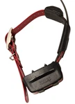 Garmin TT15 Tracking & Training Collar Good Condition New Red Strap. Fixed Price $200.00.