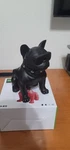 Bluetooth Dog Speaker CH-M10 Portable Black. Fixed Price $30.00.