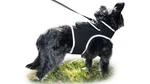 Get Realtime Location Update W/ Pet Tracker Gps Tracking Collars For Dogs Size:s. Fixed Price $70.36.